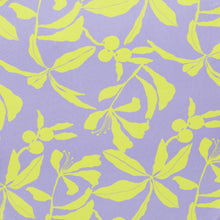 Laad de afbeelding in de Gallery-viewer, Image 06: Rio De Sol Set Set Glow Tri-Cos Cheeky-Micro